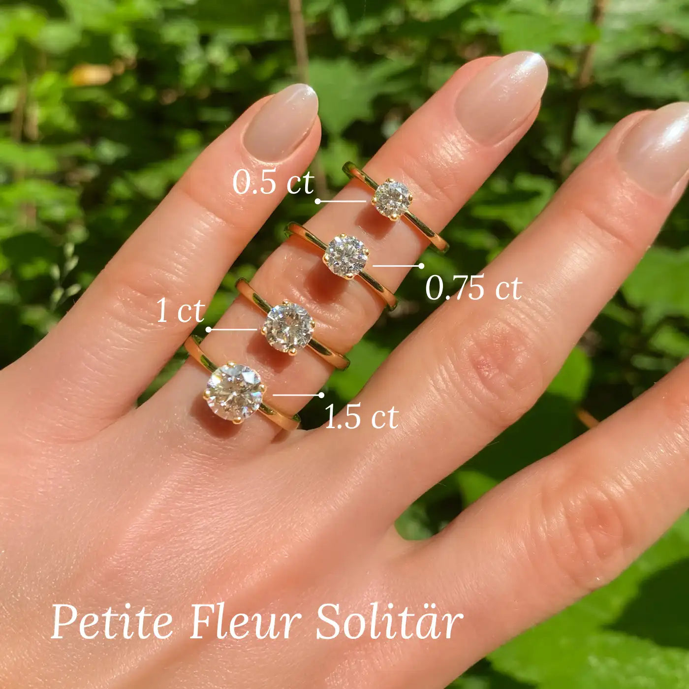 Close Up aller 4 Petite Fleur Solitair Modelle von 0.5ct bis 1.5ct Gelbgold mit Brillanten. Jeder Ring ist mit seiner Groesse beschriftet